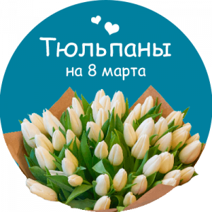 Купить тюльпаны в Котово